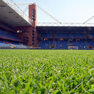 Serie A TIM: il pre-partita di Sampdoria-Hellas Verona