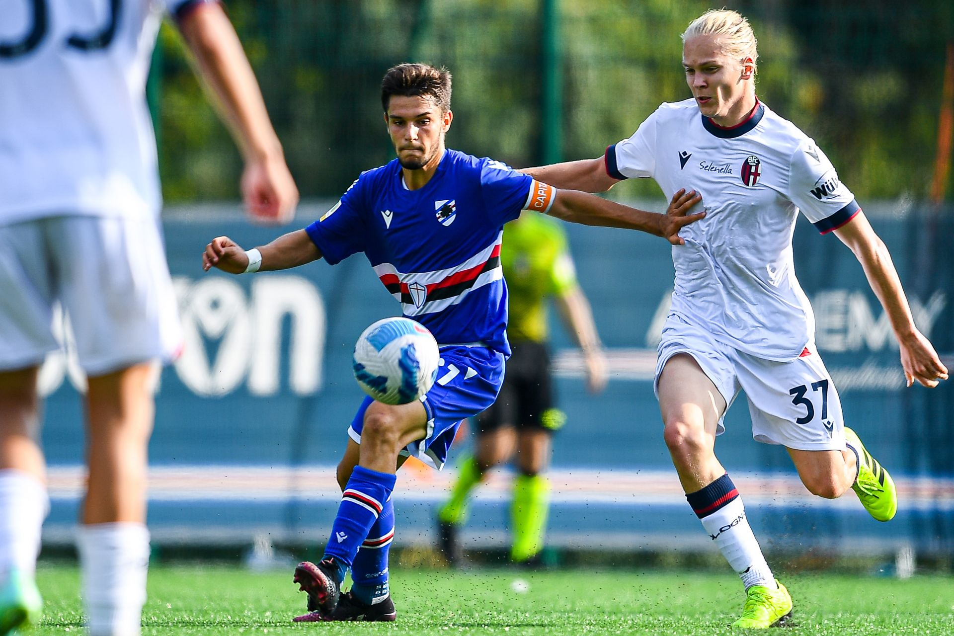 Sampdoria bologna primavera